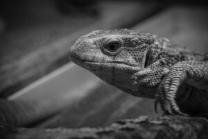 口臭サプリを継続する理由とは？
