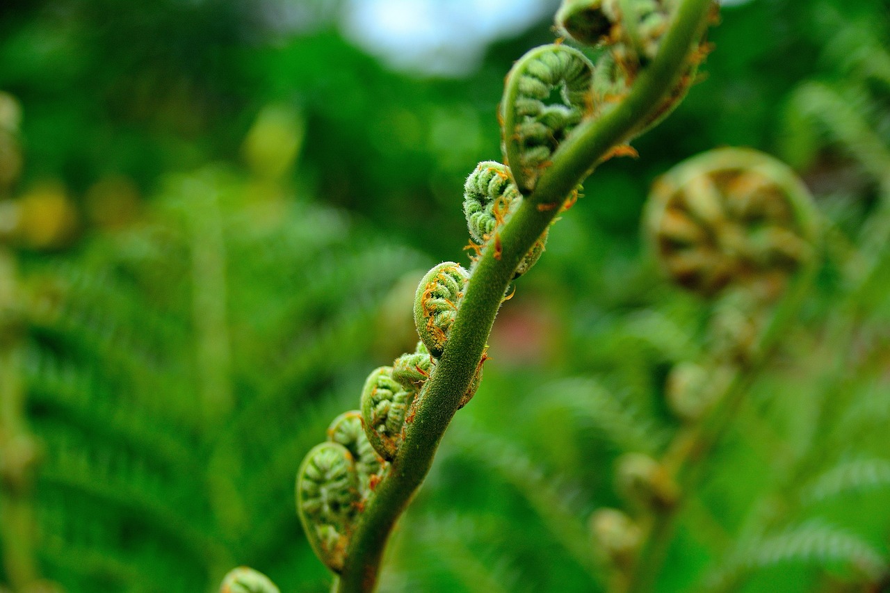 口臭対策におすすめの無添加サプリ成分比較は？
