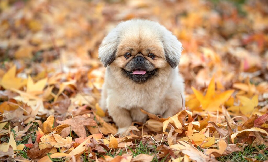 口臭対策に効果的なサプリの継続期間の目安は？